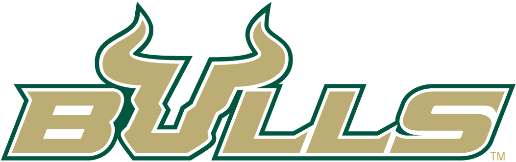 South Florida Bulls 2003-Pres Wordmark Logo 02 vinyl decal